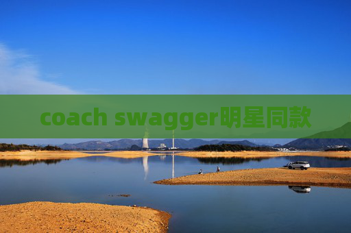 coach swagger明星同款